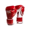 Everlast MX Hook & Loop Training Gloves 2 Everlast MX Hook & Loop Training Gloves -Boxing Shop 2200000 2 1 20363.1593344799