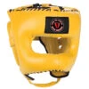 FTF (FEAR THE FIGHTER) Traditional Headgear With Face-Saver Bar Yellow -Boxing Shop 47aa150d 09c3 4b0d 9cb4 6ccf9839fabe 98219.1681311675