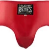 CLETO REYES Kidney And Foul Protection Groin Cup -Boxing Shop 51XJINYG8YL. AC SL1200 03204.1644453193