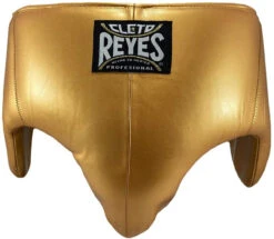 CLETO REYES Kidney And Foul Protection Groin Cup -Boxing Shop 61SK93txGBL. AC SL1200 44886.1644453043