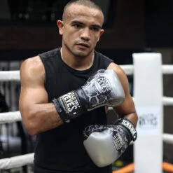 Cleto Reyes Training Boxing Gloves With Hook And Loop Closure - Silver/Black Steel Snake -Boxing Shop 61hWwSRaqXL. AC SL1200 73202.1666402097