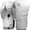 Hayabusa T3 Kanpeki Boxing Gloves Jet Arctic White -Boxing Shop 81ro yQhOYL. AC SL1500 81754.1615672875