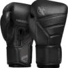Hayabusa T3 Kanpeki Boxing Gloves Jet Black -Boxing Shop 81sloYcqufL. AC SL1500 65609.1615672377