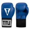 TITLE USA Boxing Competition Gloves - Elastic 1 TITLE USA Boxing Competition Gloves - Elastic -Boxing Shop acges bl 01 1 34109.1634346468