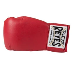 Reyes Autograph Glove (Left Hand)
