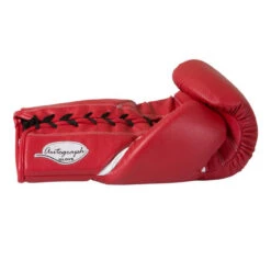 Cleto Reyes Autograph Glove (Right Hand) -Boxing Shop ra320 r 2 21933.1593503721